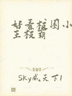 好看校园小说男主校霸