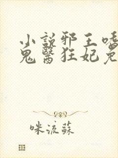 小说邪王嗜宠:鬼医狂妃免费