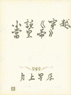 小说《穿越明朝当皇帝》