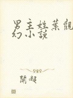 男主姓叶观的玄幻小说