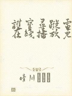 护宝寻踪电视剧在线播放免费观看