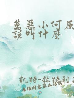 万恶小何原著小说叫什么
