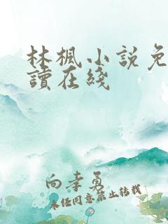 林枫小说免费阅读在线