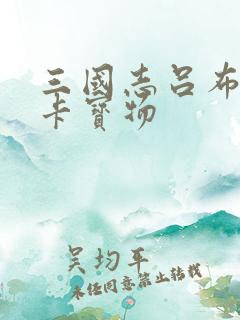 三国志吕布传关卡宝物