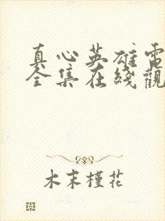 真心英雄电视剧全集在线观看免费高清