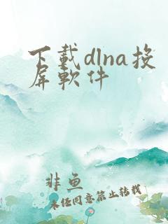 下载dlna投屏软件