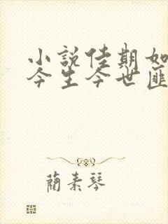 小说佳期如梦之今生今世匪我思存