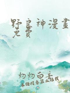 野良神漫画全集免费