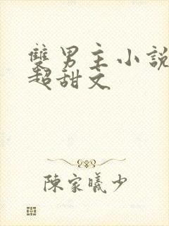 双男主小说推荐超甜文