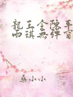 龙王令陈平/苏雨琪无弹窗