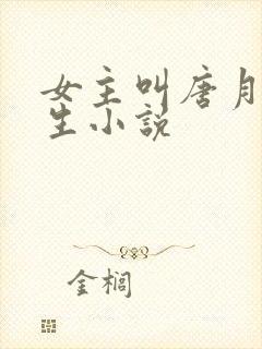 女主叫唐月的重生小说