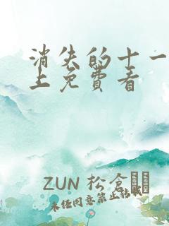 消失的十一层线上免费看