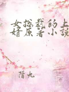 女总裁的上门女婿原著小说