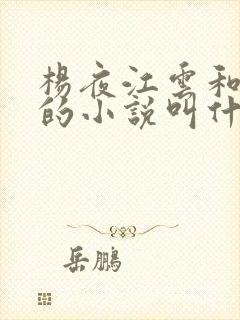 杨夜江云和杨秀的小说叫什么名字