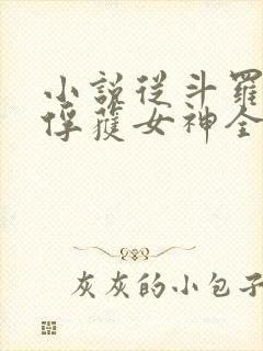 小说从斗罗开始俘获女神全文在线阅读