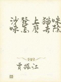 沙发上猫咪尿骚味怎么去除