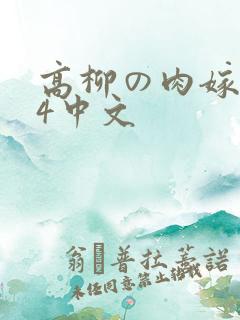 高柳の肉嫁1～4中文