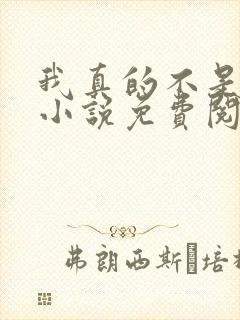 我真的不是反派小说免费阅读