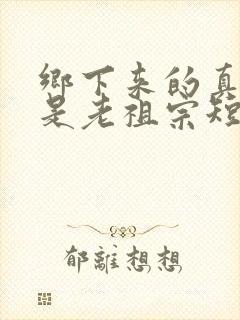 乡下来的真千金是老祖宗短剧