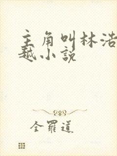 主角叫林浩的穿越小说