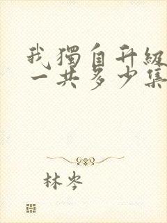 我独自升级动漫一共多少集