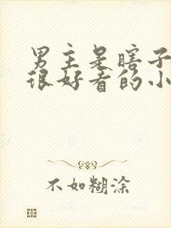 男主是瞎子而且很好看的小说