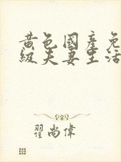 黄色国产免费一级夫妻生活片