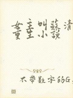 女主叫苏清婉的重生小说