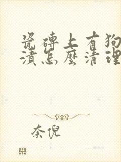 瓷砖上有狗的尿渍怎么清理