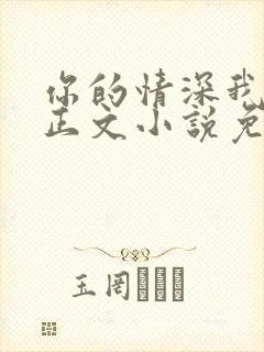 你的情深我不配正文小说免费阅读