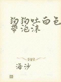 狗狗吐白色粘液带泡沫