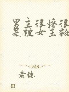 男主很惨很惨但是被女主救赎