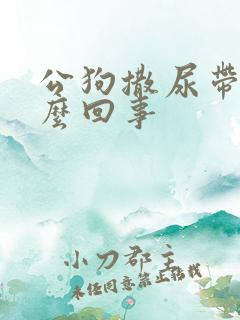 公狗撒尿带血怎么回事