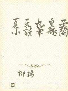 夏天九皇子穿越小说笔趣阁