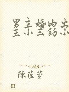 男主婚内出轨女主小三的小说