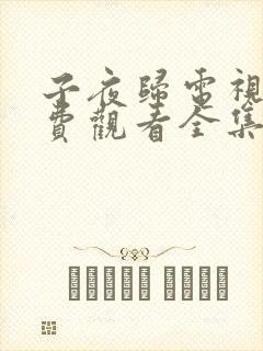 子夜归电视剧免费观看全集高清33