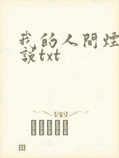 我的人间烟火小说txt