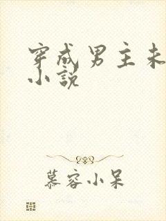 穿成男主未婚妻小说