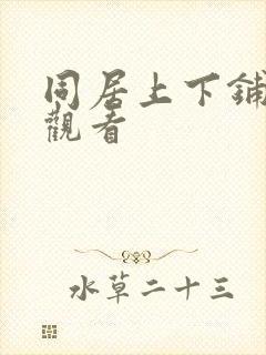 同居上下铺在线观看