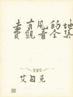 去有风的地方免费观看全集电视剧