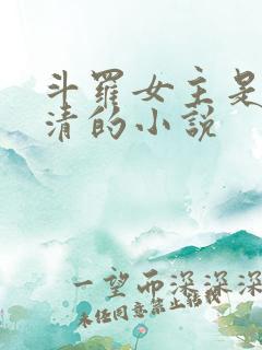 斗罗女主是朱竹清的小说