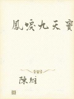 凤唳九天窦士明