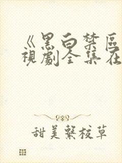 《黑白禁区》电视剧全集在线观看免费