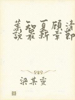 叶知夏顾清淮小说最新章节免费阅读