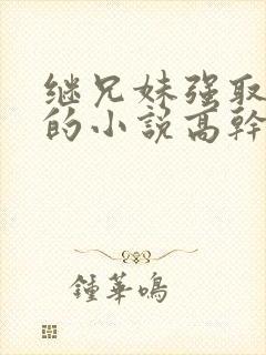 继兄妹强取豪夺的小说高干文