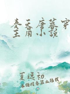 奏天唐蓉穿越为主角小说