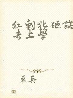 红刺北砸锅卖铁去上学