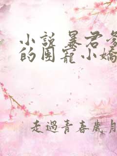 小说 暴君爹爹的团宠小娇包