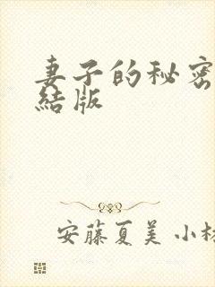 妻子的秘密 完结版