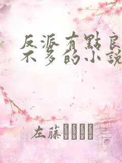 反派有点良心但不多的小说